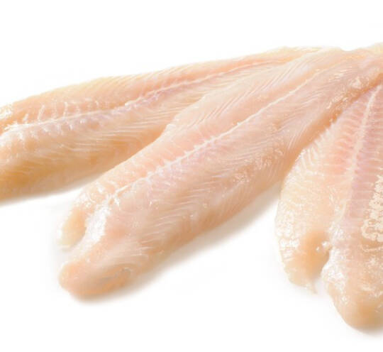 CREAM DORY FILLET