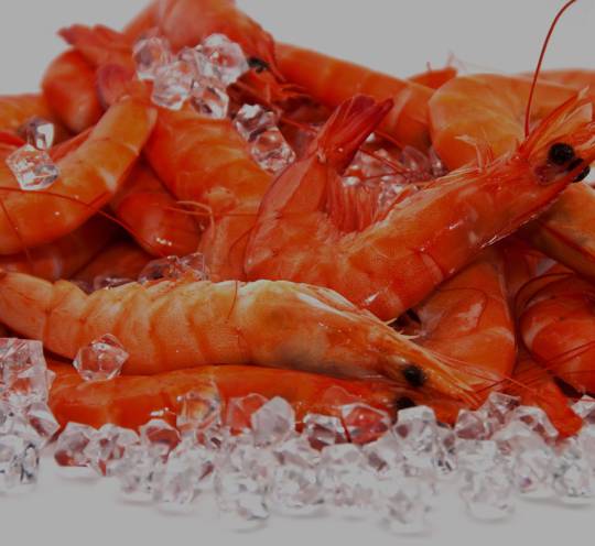 SHRIMPS