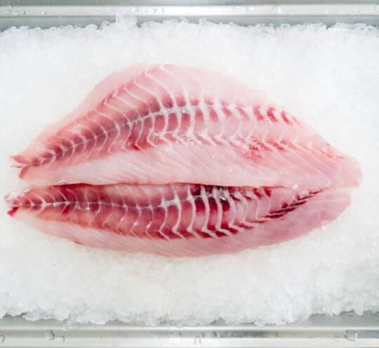 NILE PERCH FILLET