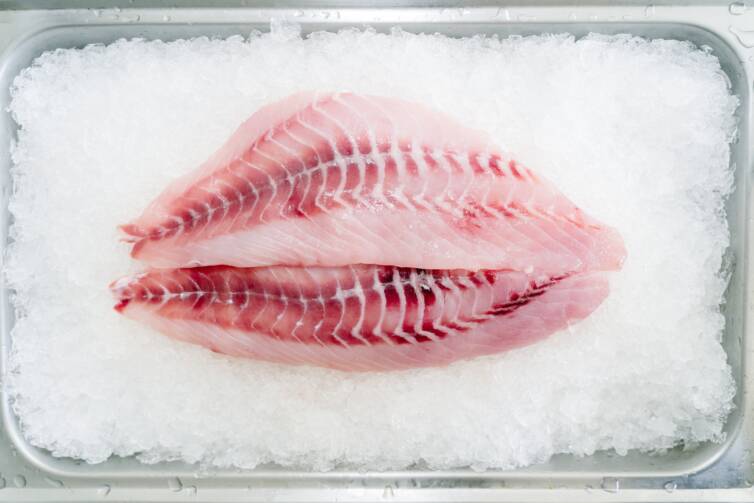 NILE PERCH FILLET
