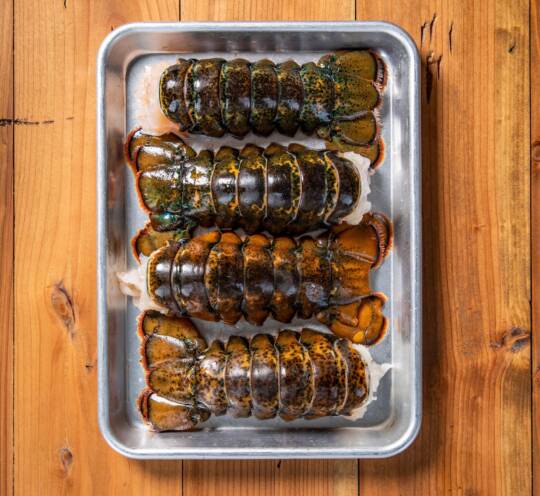 LOBSTER TAIL