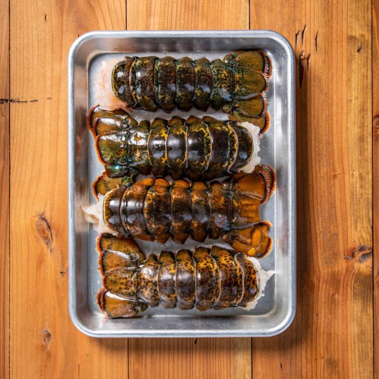 LOBSTER TAIL