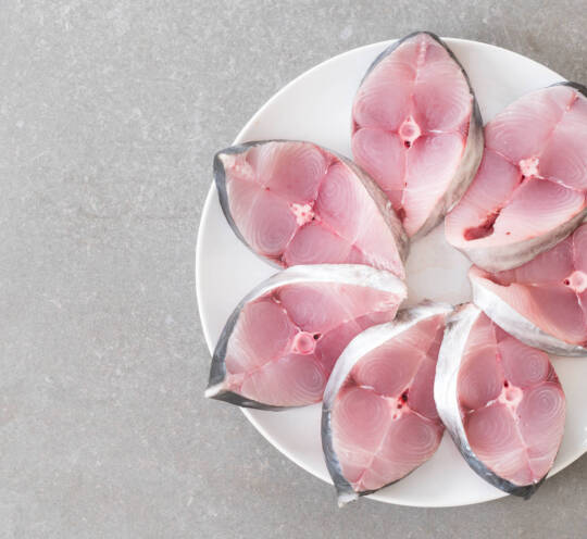 KING FISH STEAK