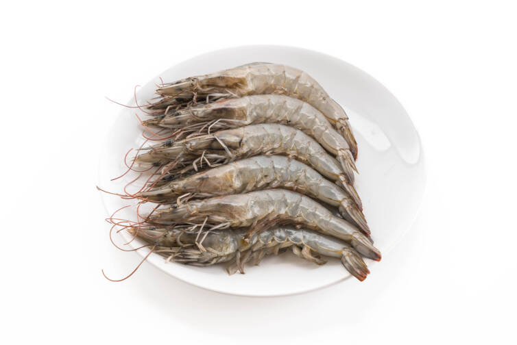 H. ON TIGER SHRIMPS