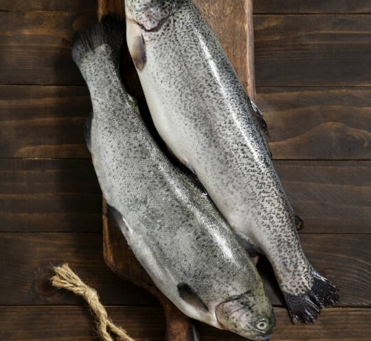 SALMON WHOLE