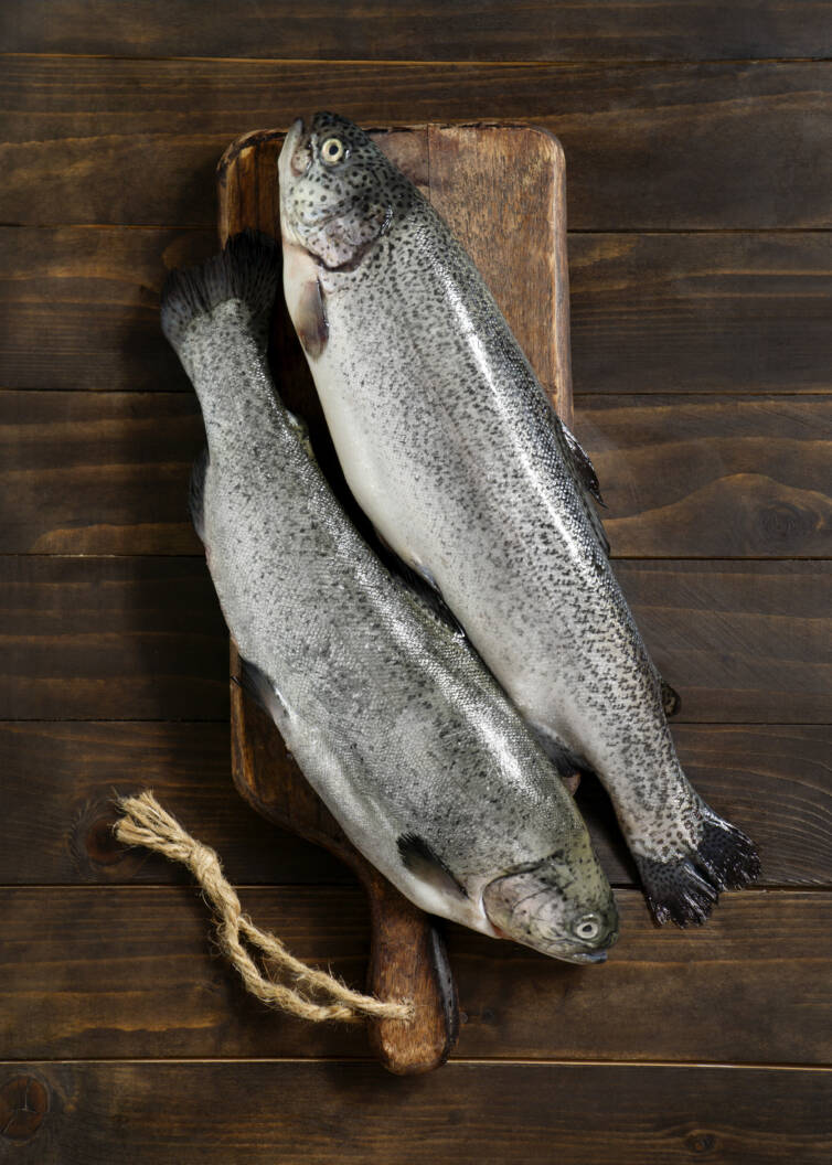 SALMON WHOLE